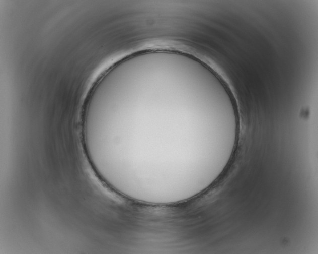 X0000111621045200907171100