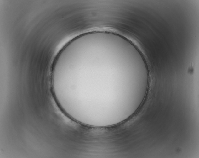 X0000111621046200907171100