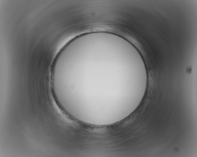 X0000111621047200907171100