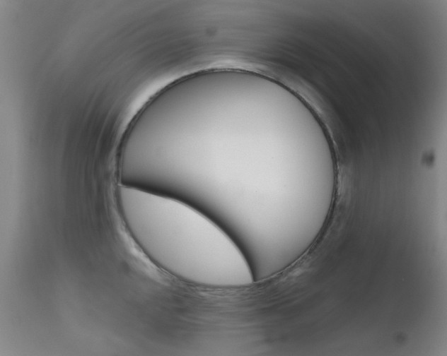 X0000111621048200907171100
