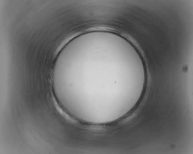 X0000111621049200907171100