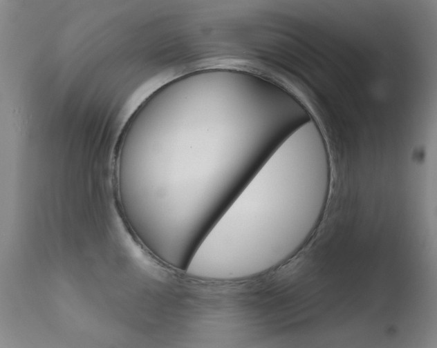 X0000111621050200907171100