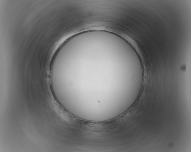 X0000111621051200907171100