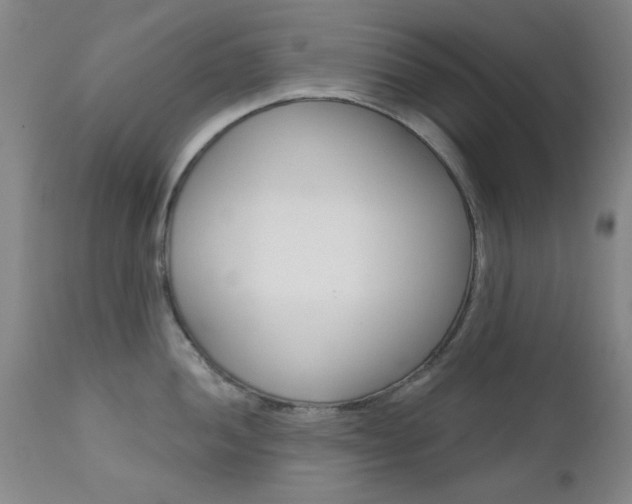 X0000111621052200907171100