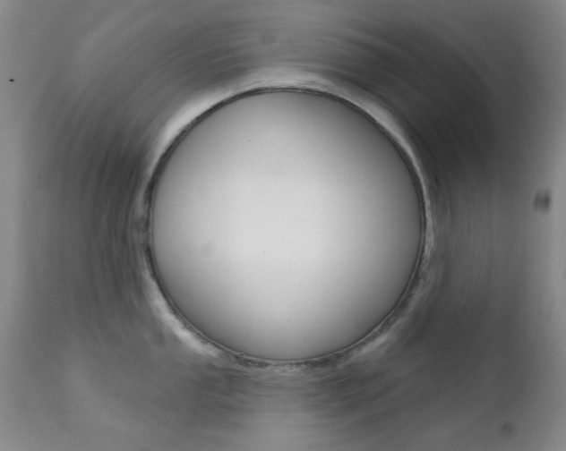 X0000111621053200907171100