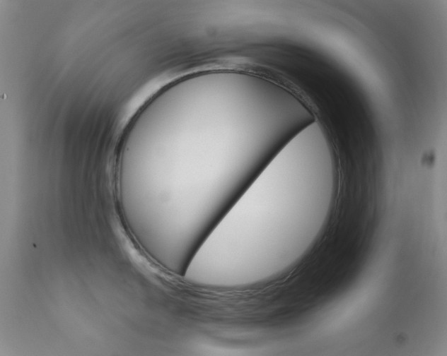 X0000111621054200907171100