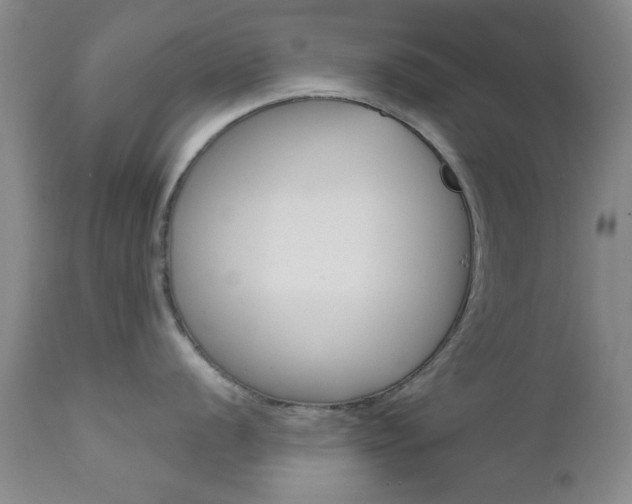 X0000111621056200907171100