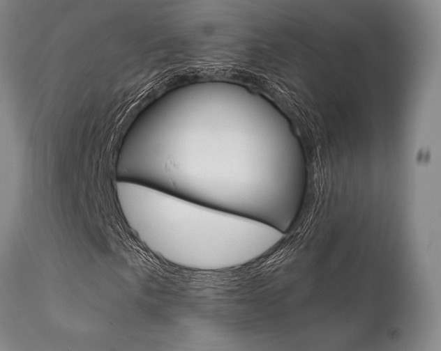 X0000111621057200907171059