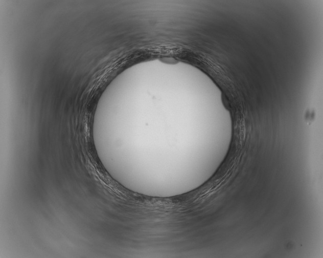 X0000111621058200907171059