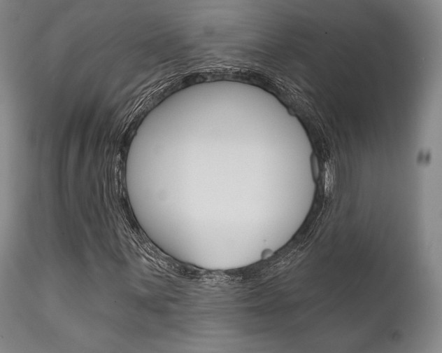 X0000111621059200907171059