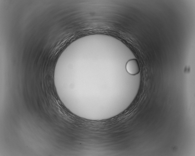 X0000111621060200907171059
