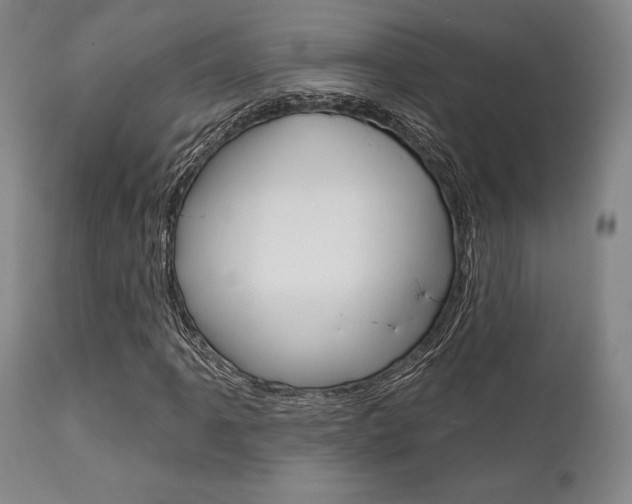 X0000111621061200907171059