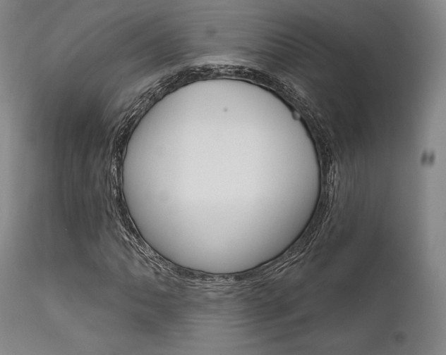 X0000111621062200907171059