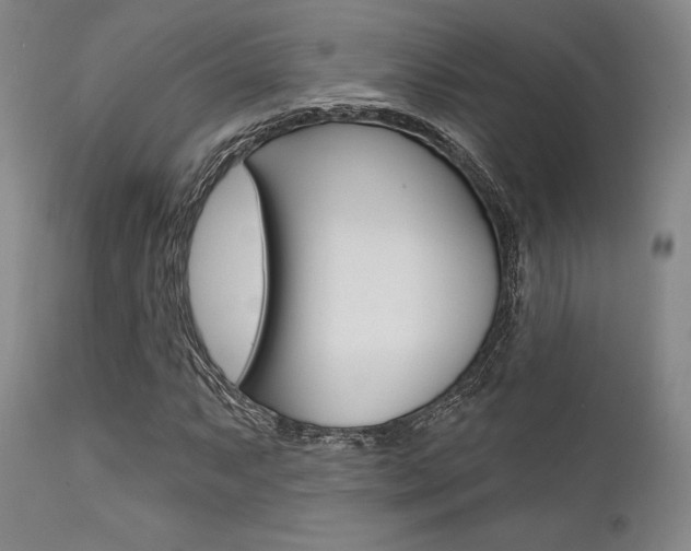 X0000111621063200907171059