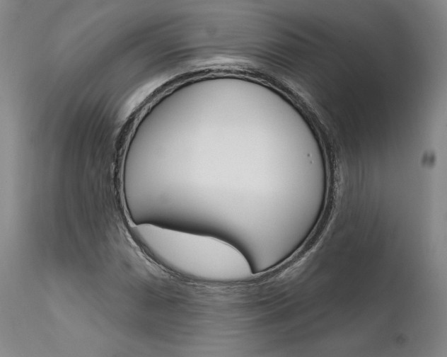 X0000111621066200907171059