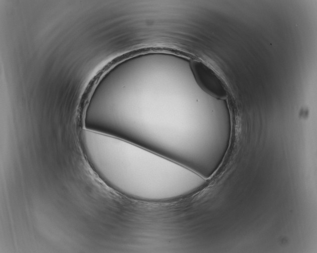 X0000111621068200907171059