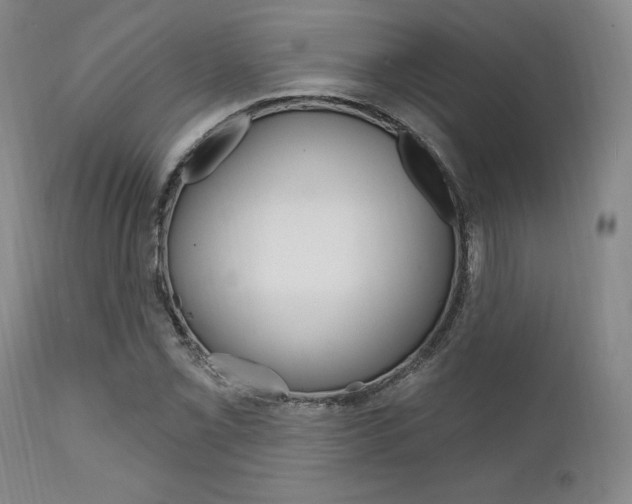 X0000111621069200907171059