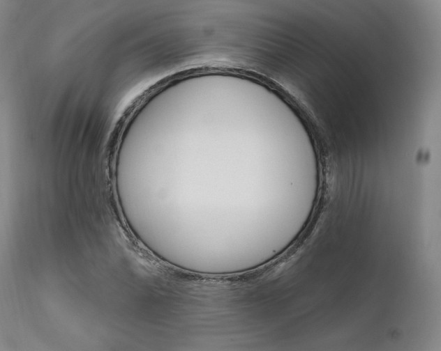 X0000111621070200907171059