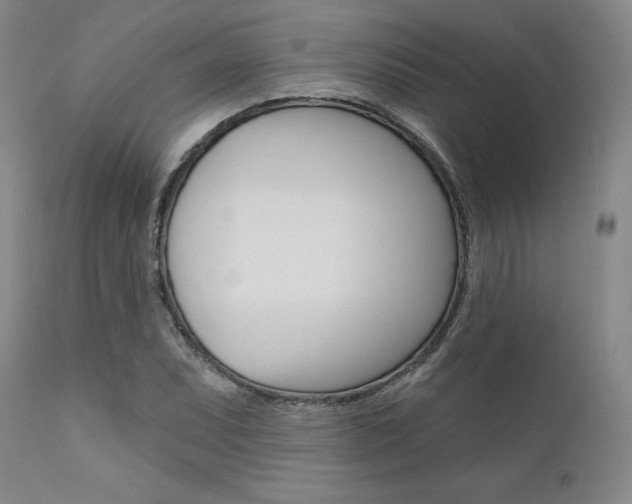X0000111621071200907171059