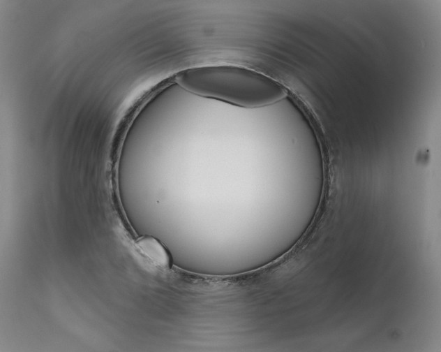 X0000111621072200907171059
