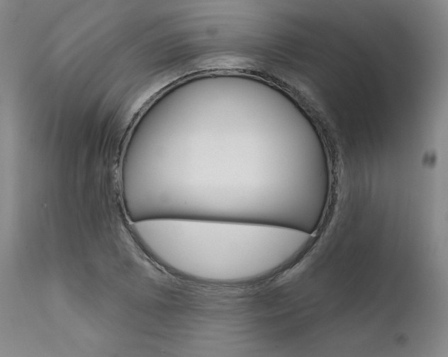 X0000111621073200907171059