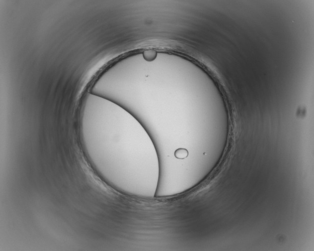 X0000111621075200907171059