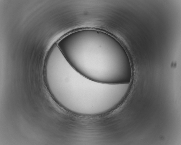X0000111621077200907171059