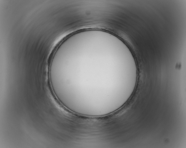 X0000111621079200907171059