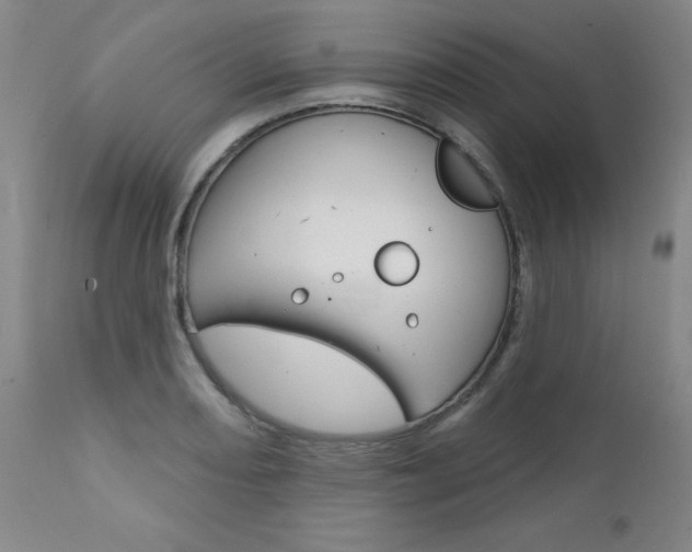 X0000111621082200907171059