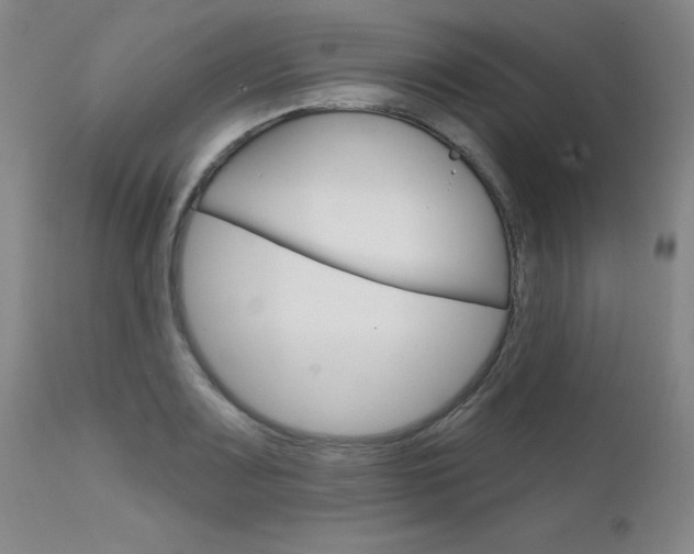 X0000111621083200907171059