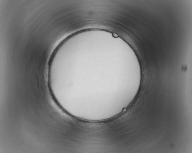 X0000111621084200907171059