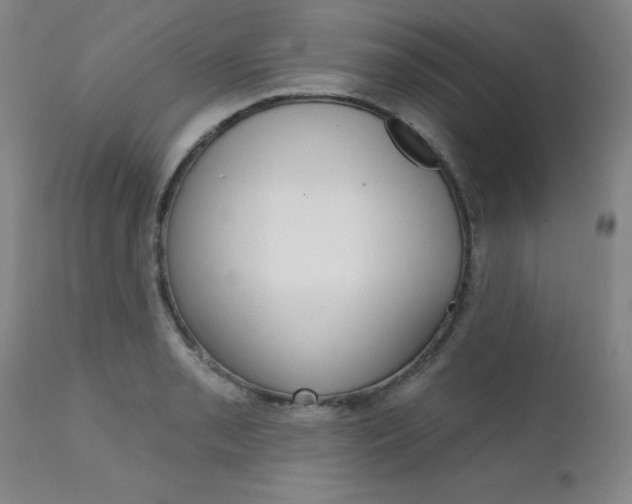 X0000111621085200907171058