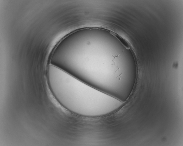 X0000111621088200907171058