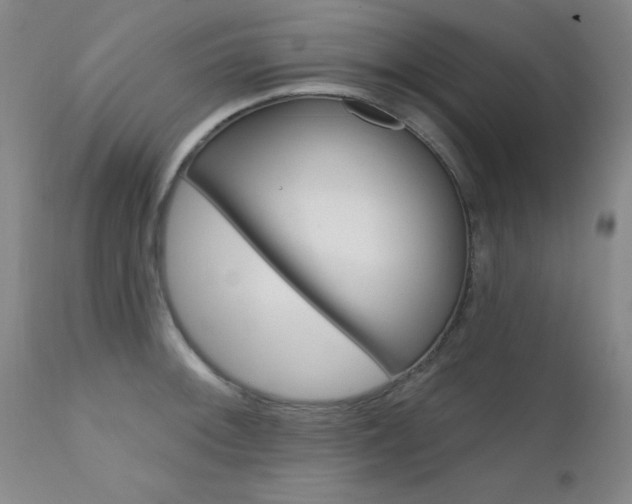 X0000111621092200907171058