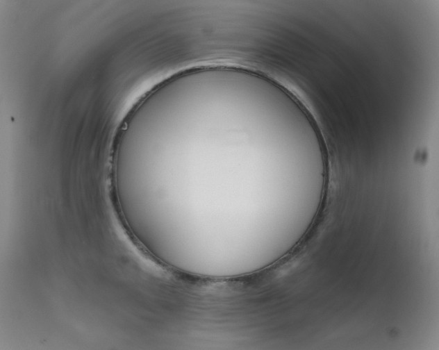X0000111621093200907171058