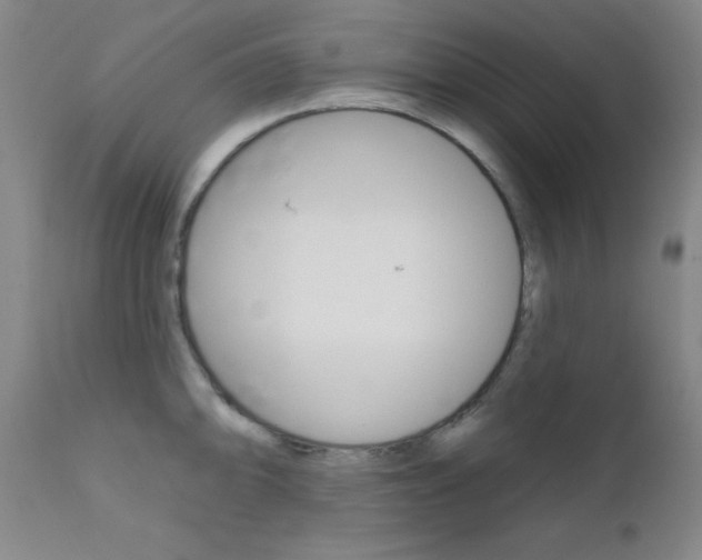 X0000111621094200907171058