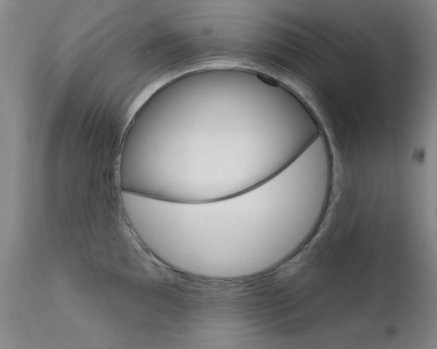 X0000111621097200907171058