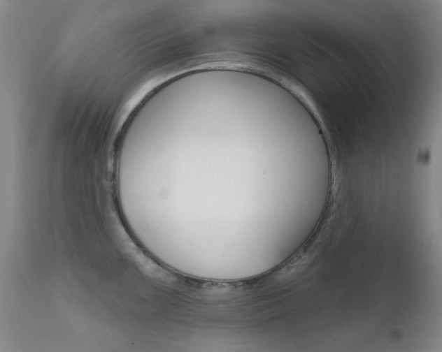 X0000111621099200907171058