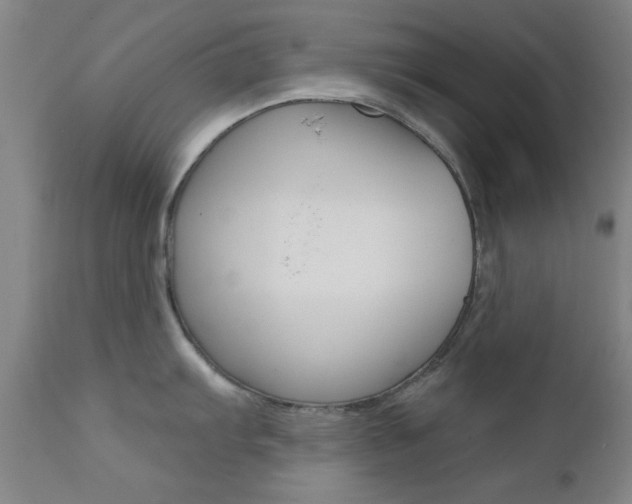 X0000111621103200907171058