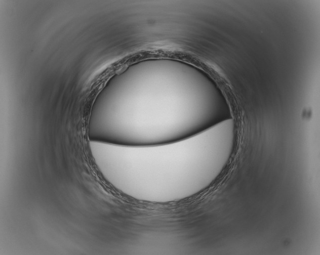 X0000111621112200907171057