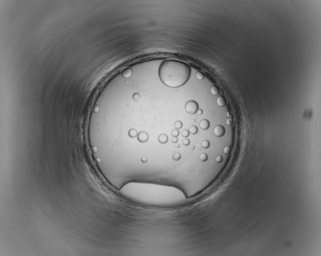 X0000111621113200907171057