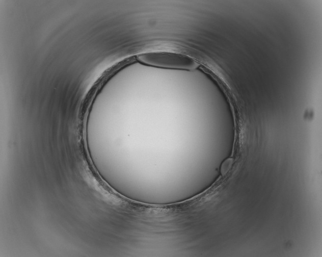 X0000111621116200907171057