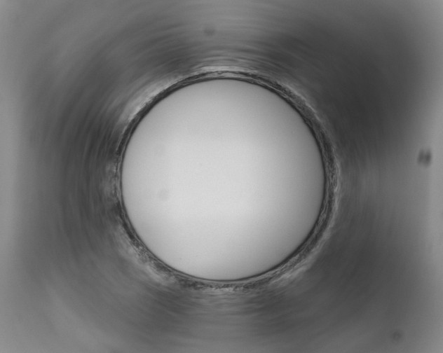 X0000111621121200907171057