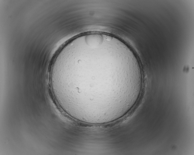 X0000111621125200907171058