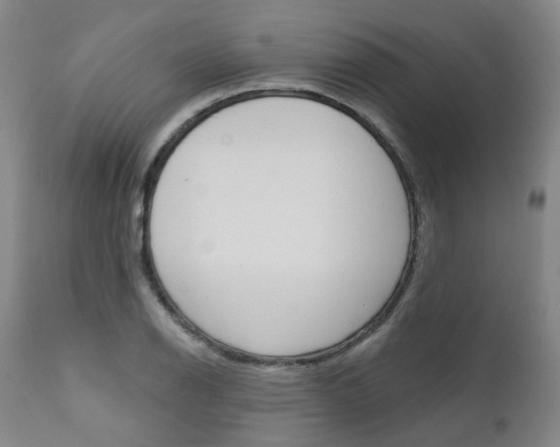 X0000111621126200907171058