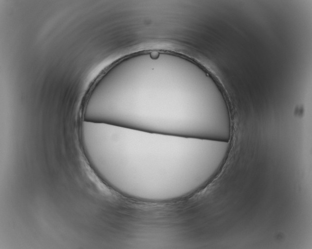 X0000111621127200907171058