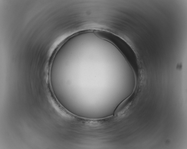 X0000111621128200907171058