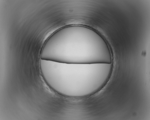 X0000111621129200907171058