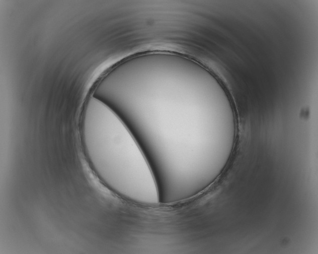 X0000111621133200907171058