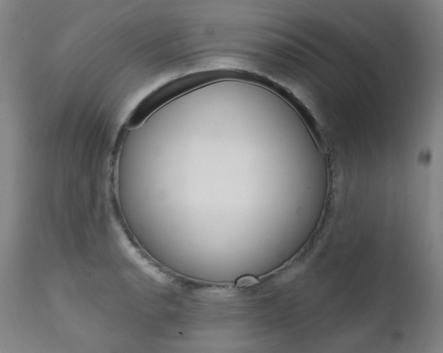 X0000111621134200907171058